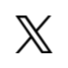 x-icon